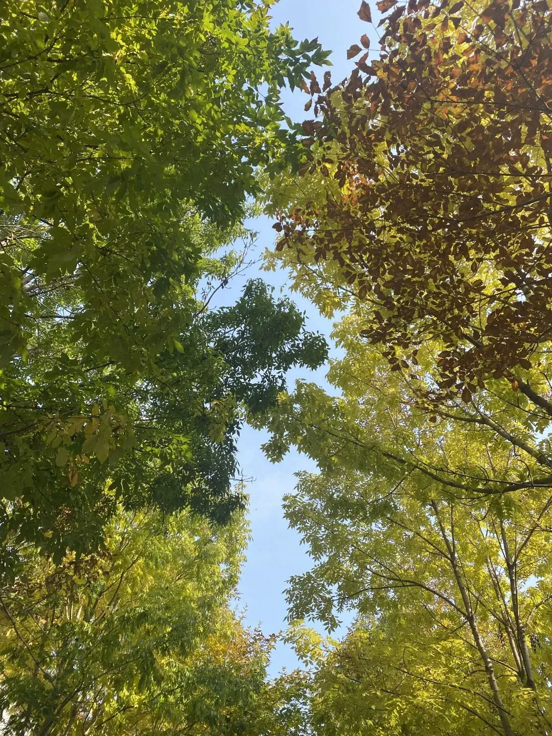 刻苦训练篮球时如何避免受伤的建议_0